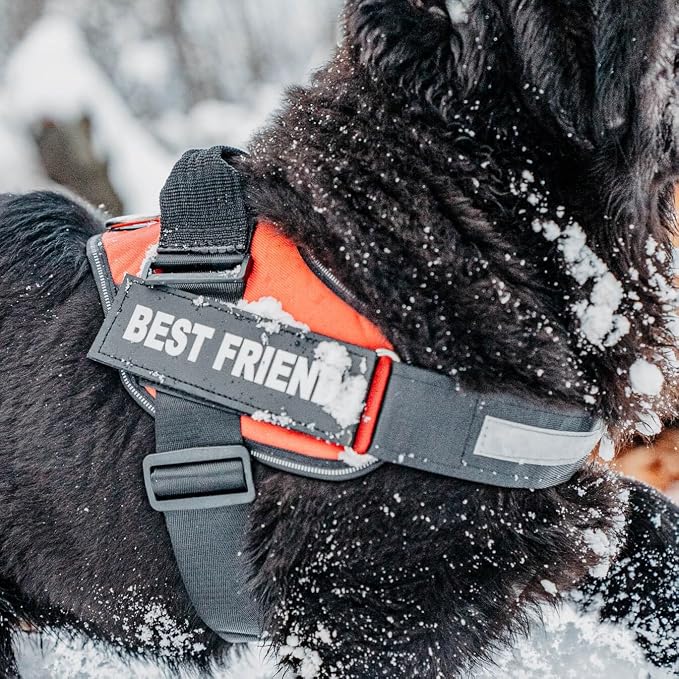 Personalized Dog Harness with Custom Name Patches, Adjustable Reflective No Choke Dog Vest with Handle for Small Sized Dog, Military Green, S