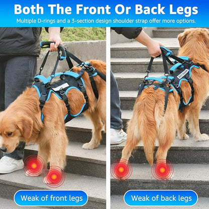 Dog Lift Harness for Extra Large Dogs, 2-in-1 Detachable Support Harness, Full Body Carrying with 4 Handles, Dog Sling for Large Dogs Hind Leg Support(Black, XX-Large)