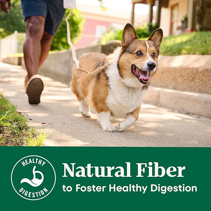 Nutro Natural Choice Chicken & Brown Rice Senior Dog Food Dry Recipe, 13 lb. Bag