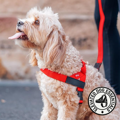 Dog Friendly Co. Dog Harness for Large Dogs (Red, Extra Large) | One Click Buckle, Chafe Resistant Webbing, Adjustable Neck & Chest, and Heavy Duty D-Ring, Sturdy Comfortable and Easy to Use