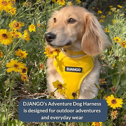 Adventure Dog Harness - Stylish Large Dog Harness for Outdoor Adventures and Everyday Wear - Dandelion Yellow Neoprene Adjustable Harness for Dogs with Reflective Piping and Solid Brass D-Ring