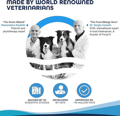 Forza10 Actiwet Dermo Wet Dog Food, Omega 3 Canned Dog Food Sensitive Skin Health, Dry Skin Fur Loss, 3.5 oz, Fish Flavor, Adult Dogs (32 Pack)