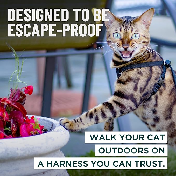 Houdini™ Escape Proof Cat Harness and Leash (Multicolor, M/L) | Adjustable walking vest with 6ft lead, premium padded finish, snug secure fit, lightweight for travel and outdoor adventures