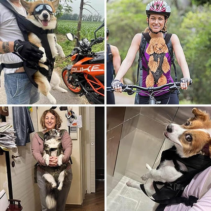 PetBonus Pet Front Dog Carrier Backpacks, Adjustable Pet Backpack, Legs Out Easy-fit Puppy Chest Carrier for Medium Small Dogs, Hands Free for Hiking, Cycling (Army Green, M) | Hands Free, Adjustable, Safety Strap, Walking Hiking Cycling Motorcycle bag...