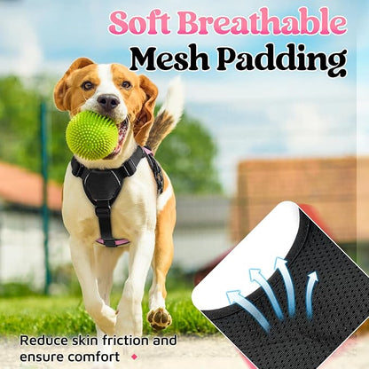 rabbitgoo Escape Proof Dog Harness for Small, No Pull with Lift Handle | No Escape, Full Soft Padded, Reflective Adjustable Vest, Leash Clip for Walking Hiking Training, Pink, Small