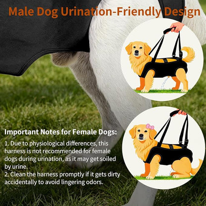 Full Body Dog Lift Harness, Support Senior & Disabled Dogs Walking | Help Up & Down Stairs Grooming, Dog Sling Backpack, Front Hind Leg Joint Injuries, Reflective, Soft Padded Handle | Black, S