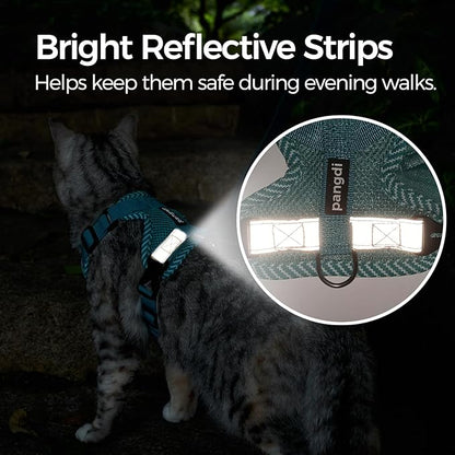 Cat Harness and Leash Escape Proof Medium Kitten Harness Bengal Cat Vest for Walking Travel, Turquoise, M