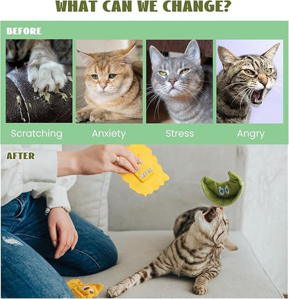 3 Pack Ravioli Catnip Toys for Indoor Cats, Interactive Cat Toys Filled with 100% Organic Catnip, Plush Chew Toys for Kittens, Teething Soft Catnip Toys for Cats