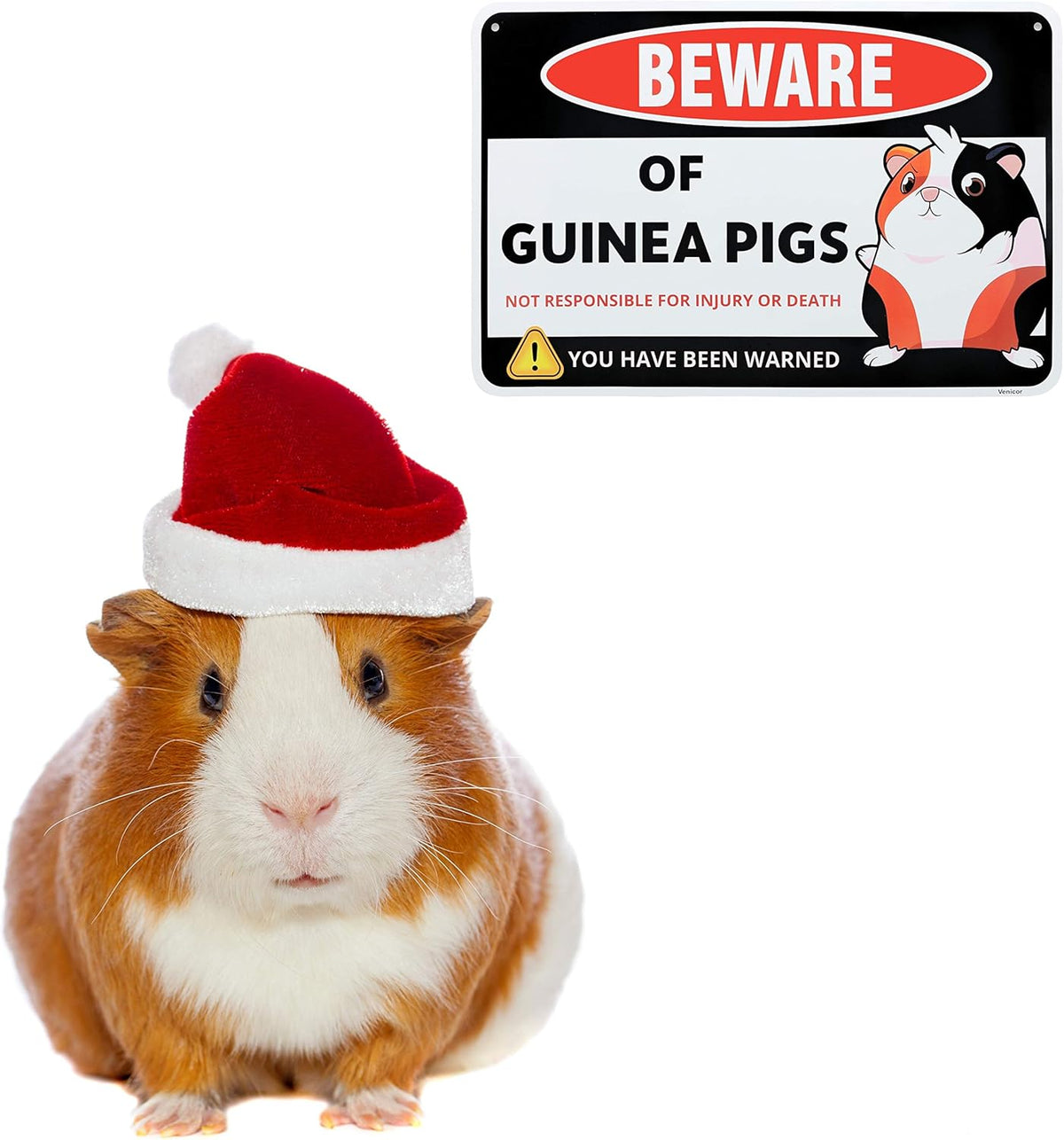 Venicor Guinea Pig Sign Decor - 8 x 12 Inches - Aluminum - Guinea Pig Gifts for Guinea Pig Lovers - Cage Accessories Toys Stickers Stuff