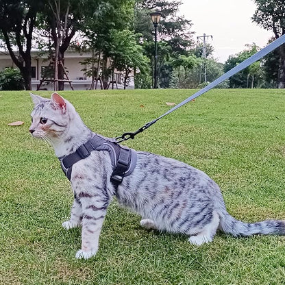 Cat Harness and Leash Set Escape Proof Tactical Large Kitten Harness Emotional Support Cat Vest, Grey, L