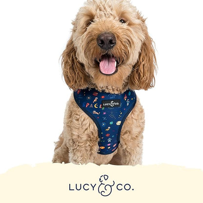 Lucy & Co. Reversible Dog Harness - Water-Repellent Neoprene, Dual-Print Design, Easy Swap Style, Adjustable Comfort Fit - Space Doodle Reversible Harness - Large