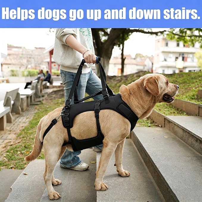 COODEO Dog Lift Harness for Large Dogs, Full Body Support Mobility Aid for Senior Dogs, Adjustable Help for Weak Hind Legs, Arthritis, Stairs & Cars(Black,S)