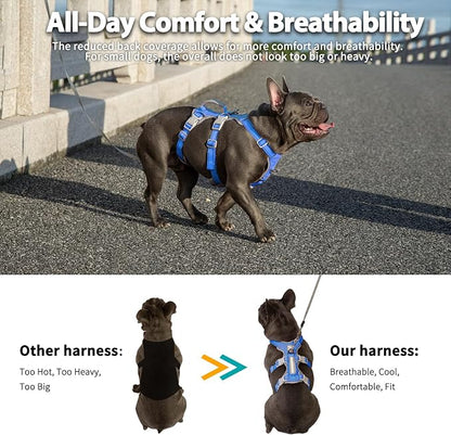 Escape Proof Dog Harness,No Pull Reflective Harness with Lift Handle,Adjustable Pet Vest with Front and Back Leash Clips for Small Medium Large Dogs Walking Hiking Training (Sea Blue,XL)