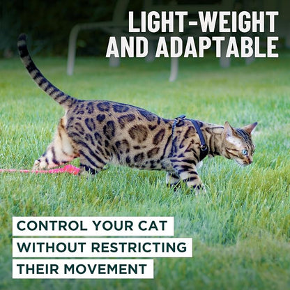 Houdini™ Escape Proof Kitten Harness and Leash (Pink, S) | Adjustable walking vest with 6ft lead, breathable mesh, snug secure fit, light and gentle for first outdoor adventures