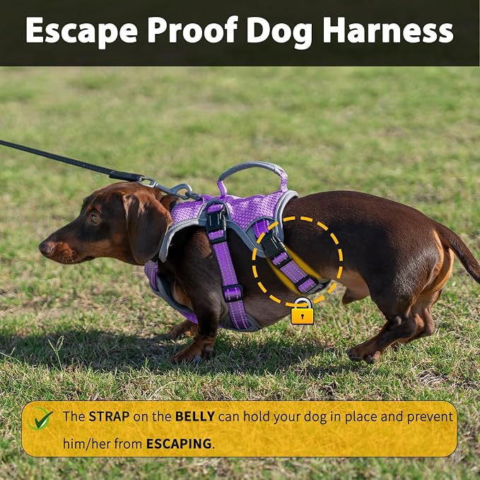 Escape Proof Dog Harness, Dachshund Harness, Reflective Dog Harness with Handle, Durable,Adjustable Vest for Small Medium Large Dogs Walking, Training, and Running Gear (Lavender Purple,M)