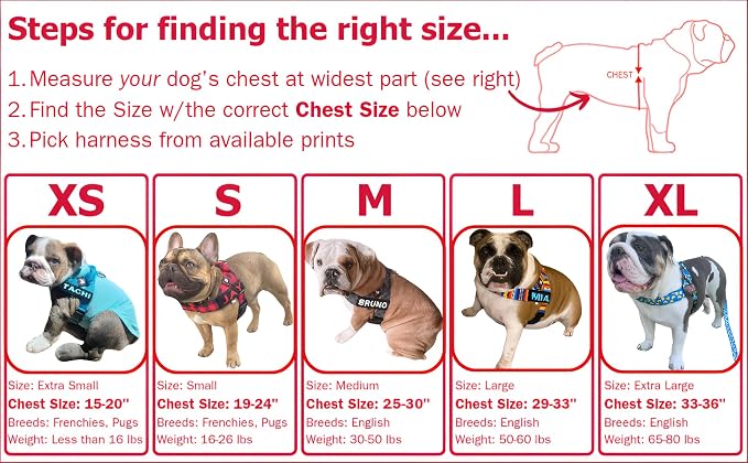 Adjustable Dog Harness– No Pull, No Choke – for English Bulldogs, French Bulldogs, Pugs & Broad-Chested Breeds – Easy, Safe Walks (Teal, Small)