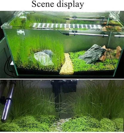 2 Pack Live Aquarium Plants S.e.e.ds - Dwarf Leaf and Long Hair Combo for Aquarium Fish Tank (0.35oz Each)