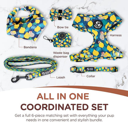 No Pull Harness and Leash Set - 6-in-1 Adjustable Vest Harness and Collars for Medium and Large Dogs. (Lemon, Small)