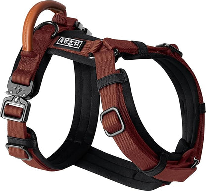 MADE TO ROAM Premium Explorer Harness - Y-Shaped Dog Harness with Adjustable Durable Nylon, Soft Padding, Metal Buckles and Leather Handle for Small, Medium, Large Dogs (Arizona Heartbeat, Size 3)