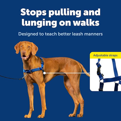 PetSafe Easy Walk Harness, No Pull Dog Harness, Royal Blue, Medium | Patented Martingale Loop Gives Gradual Shoulder Pressure to Stop Pulling, Front-Chest Leash Clip Prevents Gagging