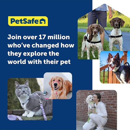 PetSafe Easy Walk Harness for Dogs - Pull-Free Walks - Patented Martingale Loop Design - Front Chest Leash Attachment - Comfort Straps - Breathable Harness Design - Large, Charcoal/Black(Pack of 3)