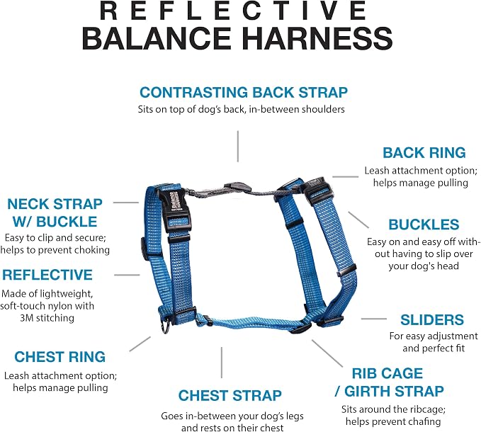 Blue-9 Reflective Buckle-Neck Balance Harness, Fully Customizable Fit No-Pull Harness with 3M Reflective Stitching, Ideal for Dog Training and Obedience, Made in The USA, Blue, XS