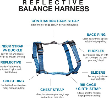 Blue-9 Reflective Buckle-Neck Balance Harness, Fully Customizable Fit No-Pull Harness with 3M Reflective Stitching, Ideal for Dog Training and Obedience, Made in The USA, Blue, XS