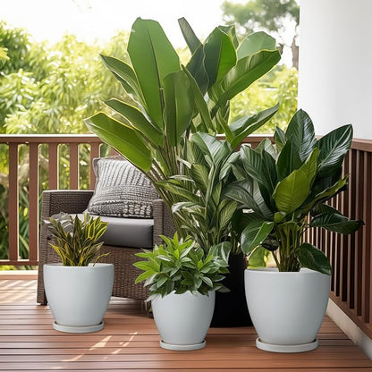 Ceramic Pots for Plants - 8 Inch Planter, Indoor Plant Pot with Drainage Hole and Saucers, Modern Flower Planters, Home Garden Patio Bathroom Porch Room Decor, Gray