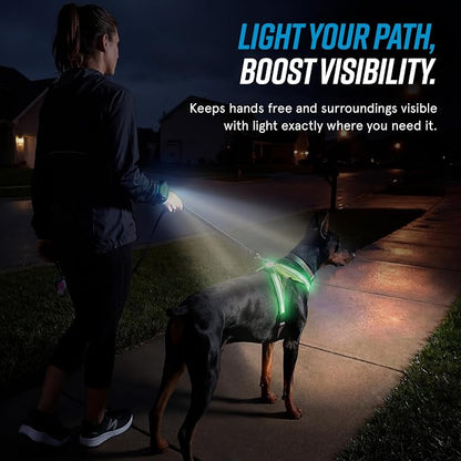 noxgear LightHound Light Up Reflective Dog Harness and Wrist Light, Small | 360° Light Up Reflective Dog Harness, 8 Colors & 6 Modes, USB Rechargeable, Adjustable, Rainproof, LED Fiber Optic