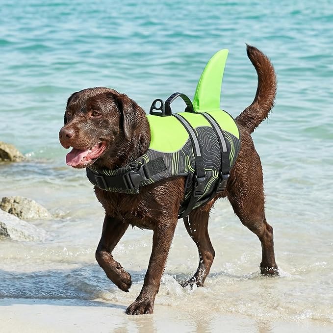 Shark Dog Life Vest for Swimming, Pet Life Vests for Boating, High Buoyant DogLife Jacket, Ripstop High Flotation Swimsui for Small, Medium, Large Dogs (Greenblack,S)