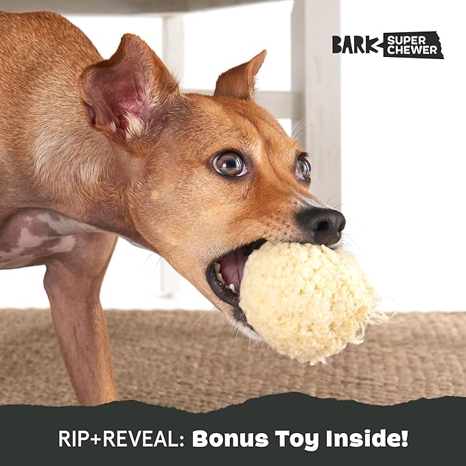 Barkbox Super Chewer Tough Dog Chew Toys for Aggressive Chewers, Plush 2 Toys in 1 (Potato - Small)