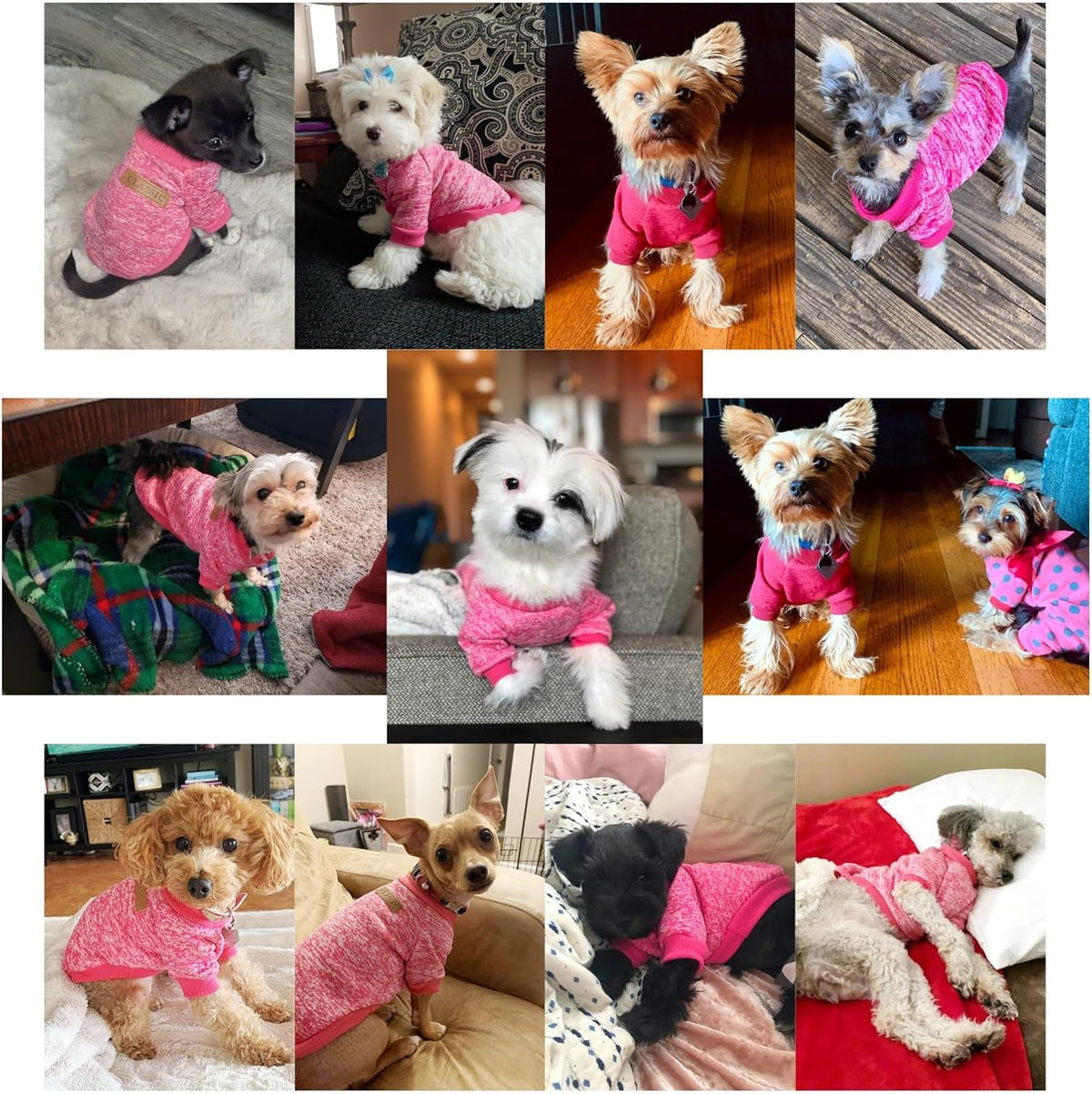 Jecikelon Dog Clothes Dogs Sweater Soft Puppies Clothing Winter Puppy Sweaters Warm Outfit for Dogs Small XXS XS Cat Apparel (Rose red, M)