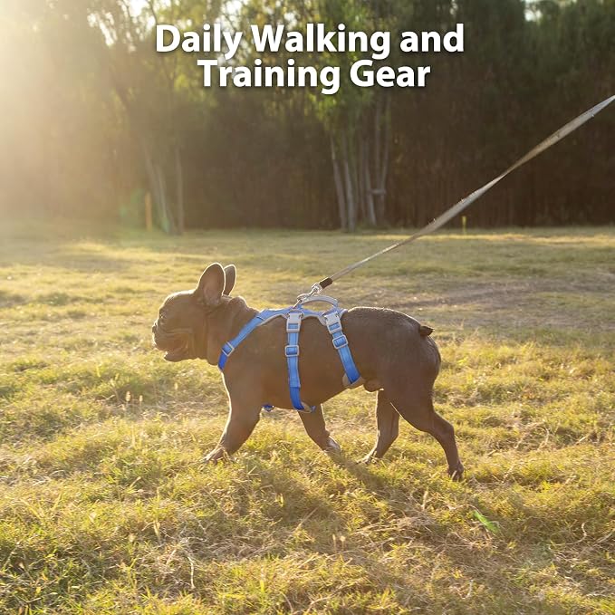 Escape Proof Dog Harness,No Pull Reflective Harness with Lift Handle,Adjustable Pet Vest with Front and Back Leash Clips for Small Medium Large Dogs Walking Hiking Training (Sea Blue,XL)
