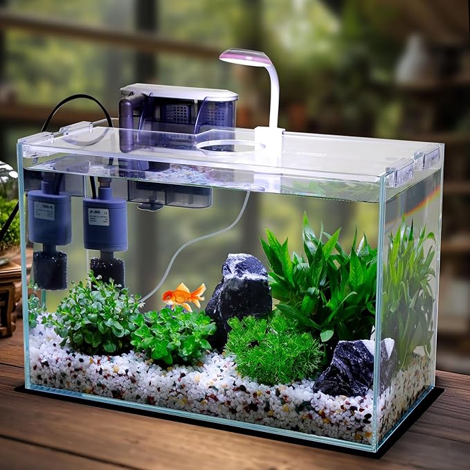 Vimvins 5 Gallon Glass Small Fish Tank with Filter Light and Lid, Betta Aquarium Starter Kits