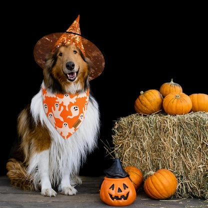 Halloween Dog Bandanas - 2 Pack Fall Dog Bibs | Reversible Pumpkin and Ghost Pet Scarf for Boys and Girls | Premium Durable Fabric | Orange Dog Bandana for Medium and Large Dogs (Large)