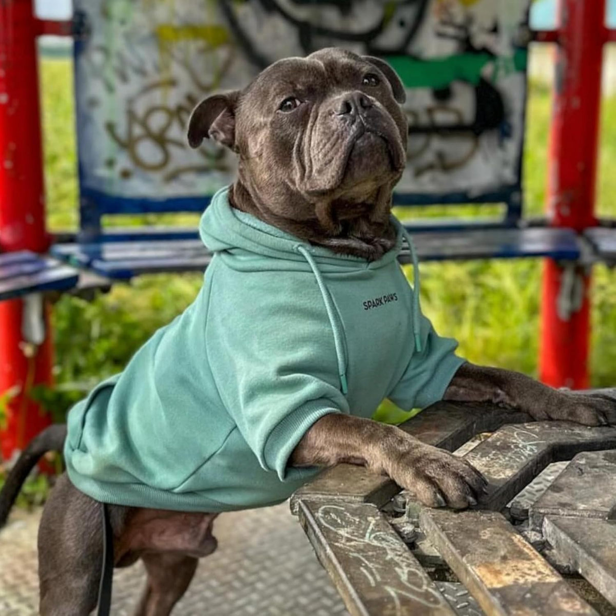 Spark Paws Dog Hoodie – Premium Dog Sweater for Small, Medium, and Large Dogs | Warm Outfits for French Bulldogs, Pitbull, Puppy, Winter Jacket Alternative - Teal - L