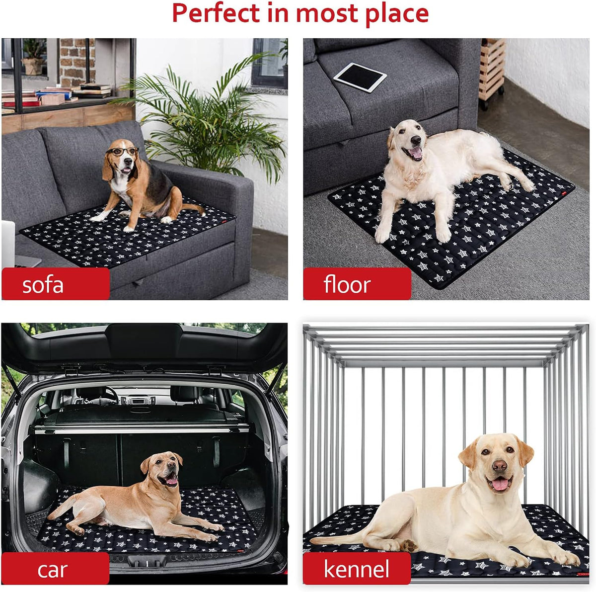 Dog Crate Mat (48" X 30"), Soft Dog Bed Mat with Cute Prints, Personalized Crate Pad, Anti-Slip Bottom, Machine Washable Kennel Pad, Black