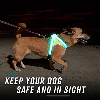 noxgear LightHound Light Up Reflective Dog Harness and Leash, Small | 360° Light Up Reflective Dog Harness, 8 Colors & 6 Modes, USB Rechargeable, Adjustable, Rainproof, LED Fiber Optic