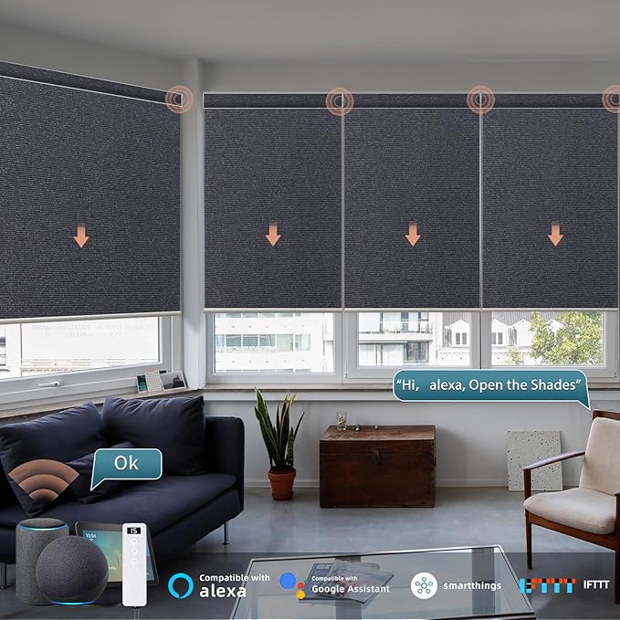 Motorized Blinds Roller Shade