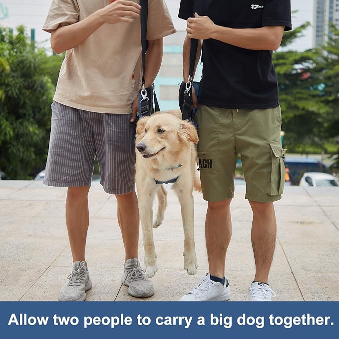 COODEO Dog Carry Sling, Emergency Backpack Pet Legs Support & Rehabilitation Dog Lift Harness for Nail Trimming, Dog Carrier for Senior Dogs Joint Injuries, Arthritis, Up and Down Stairs(XL, Blue)