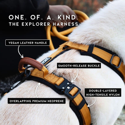 MADE TO ROAM Premium Explorer Harness - Y-Shaped Dog Harness with Adjustable Durable Nylon, Soft Padding, Metal Buckles and Leather Handle for Small, Medium, Large Dogs (Montana Moonrise, Size 7)