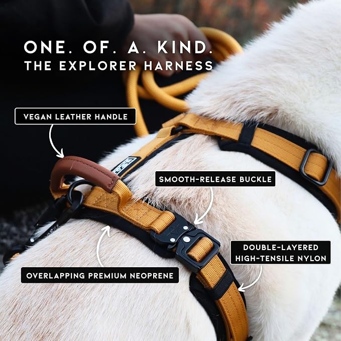 MADE TO ROAM Premium Explorer Harness - Y-Shaped Dog Harness with Adjustable Durable Nylon, Soft Padding, Metal Buckles and Leather Handle for Small, Medium, Large Dogs (Texas Flair, Size 3)