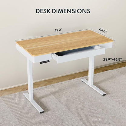 FLEXISPOT Q5 Standing Desk