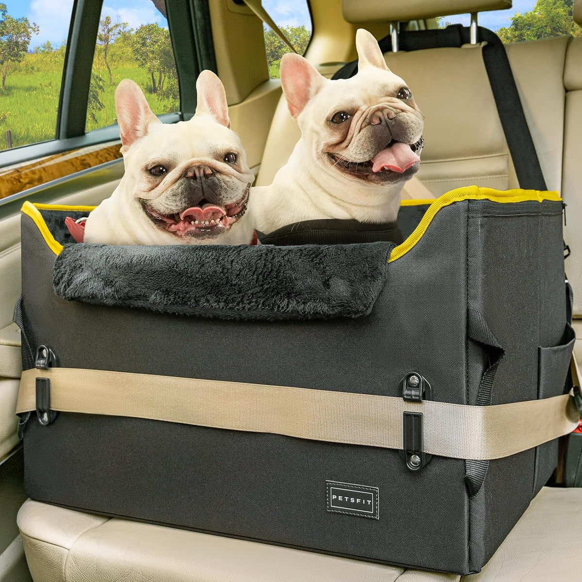 PETSFIT Dog Booster Car Seat, Dog Car Seats for Medium Sized Dogs or 2 Small Pets with 2 Safety Leashes and Patented Buckles, Carseat for Dogs with Storage Pockets for Pets Under 45Lbs (Black)
