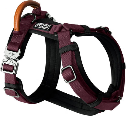 MADE TO ROAM Premium Explorer Harness - Y-Shaped Dog Harness with Adjustable Durable Nylon, Soft Padding, Metal Buckles and Leather Handle for Small, Medium, Large Dogs (Vermont Weekends, Size 5)