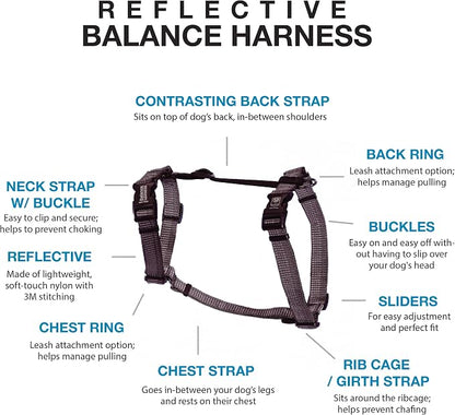 Blue-9 Reflective Buckle-Neck Balance Harness, Fully Customizable Fit No-Pull Harness with 3M Reflective Stitching, Ideal for Dog Training and Obedience, Made in The USA, Grey, Medium/Large