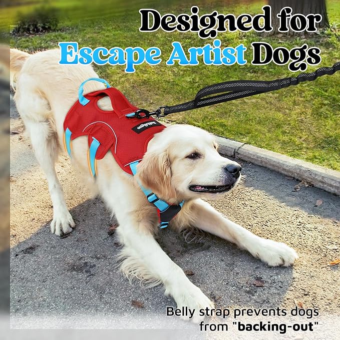 rabbitgoo Escape Proof Dog Harness for Large, No Pull with Lift Handle | No Escape, Full Soft Padded, Reflective Adjustable Vest, Leash Clip for Walking Hiking Training, Sky Blue & Red, Large