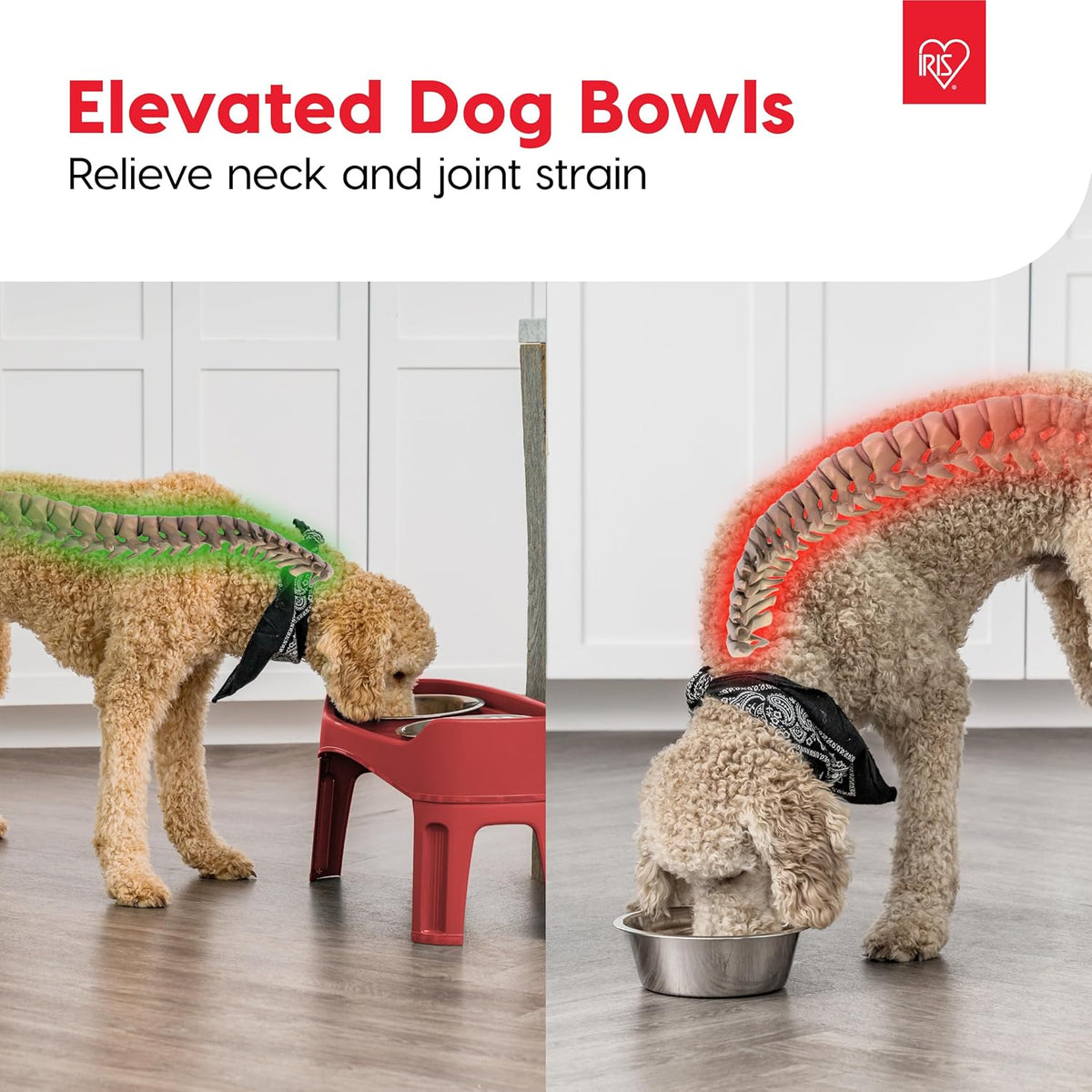 IRIS USA Elevated Dog Bowls, Adjustable Height, 2 Thick 64 oz Stainless Steel Bowls, Spill-Proof with Raised Outer Rim, Durable Made in USA Plastic, Easy Assemble, 2 Heights 4.63" or 12.25" Red