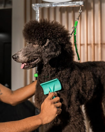 Jelly Pet Grooming Bundle - Large Teal Slicker Brush, Hard Pins & Chris Christensen Ice on Ice Detangler Spray, Ready to Use, 16 oz