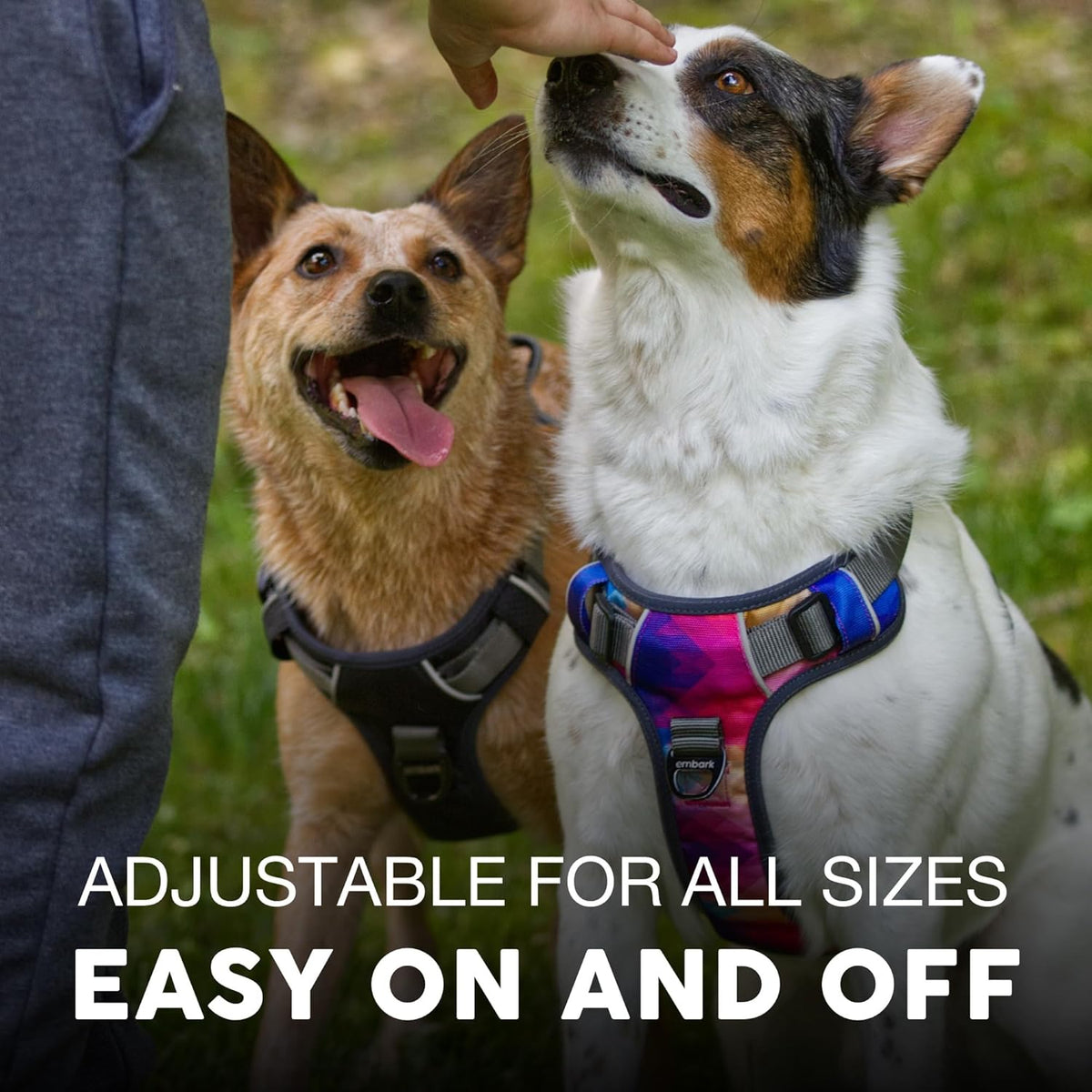 Embark Adventure Dog Harness, Reflective Trim No Pull Dog Harnesses for Small Sized Dogs - Military Grade Nylon, Front Clip with Gel Lined Handle. Soft & Padded Puppy